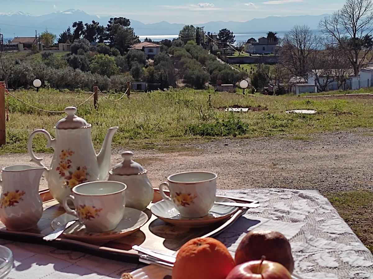 Georgia'S Apartment Palioura المظهر الخارجي الصورة