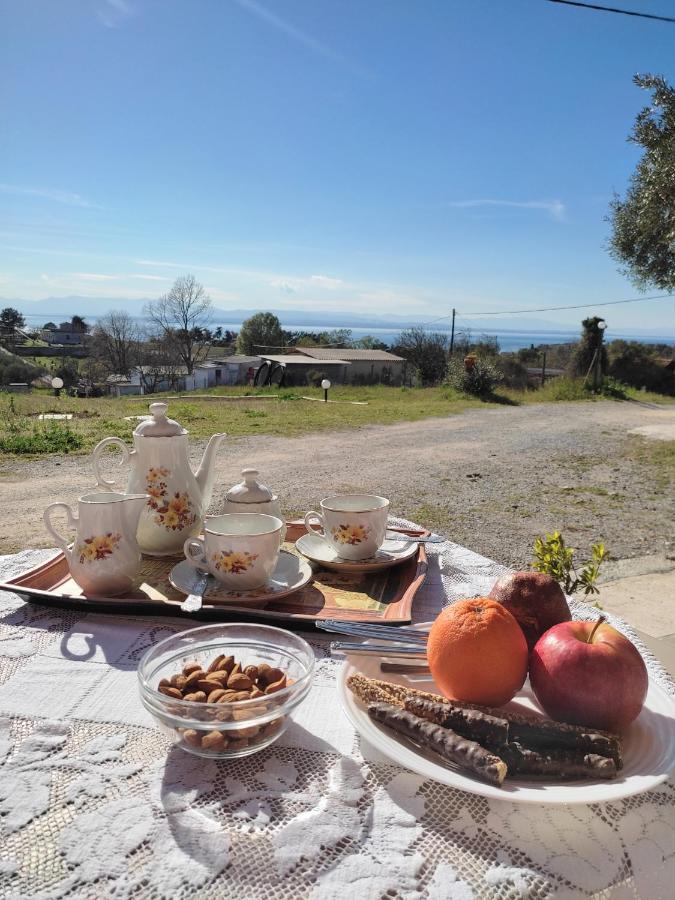 Georgia'S Apartment Palioura المظهر الخارجي الصورة